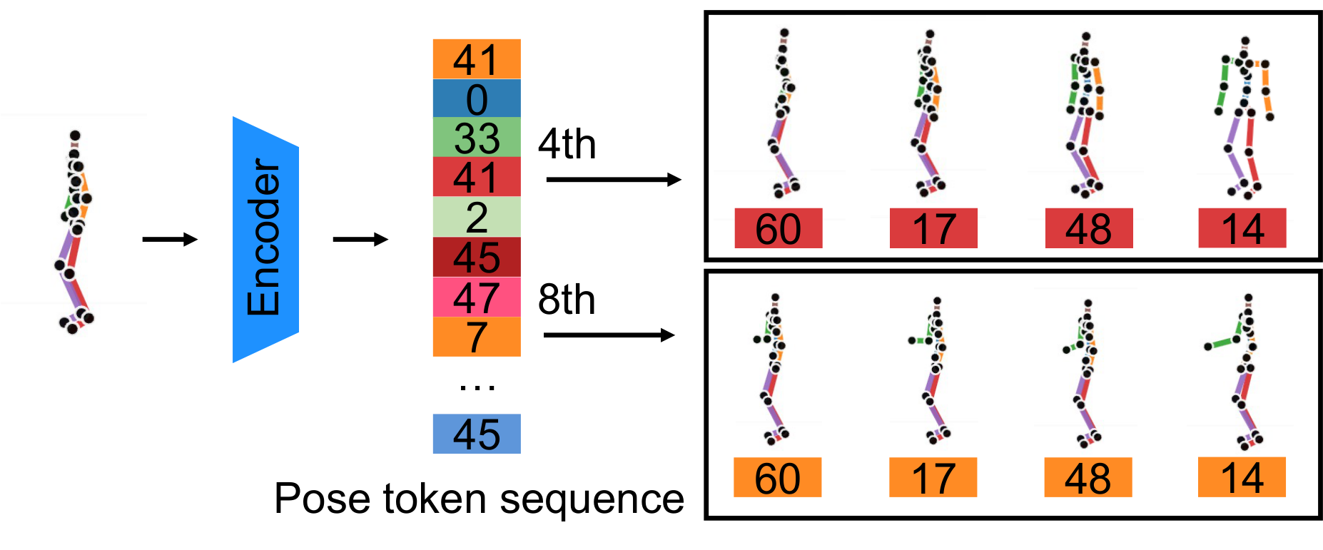 Pose token influence visualization